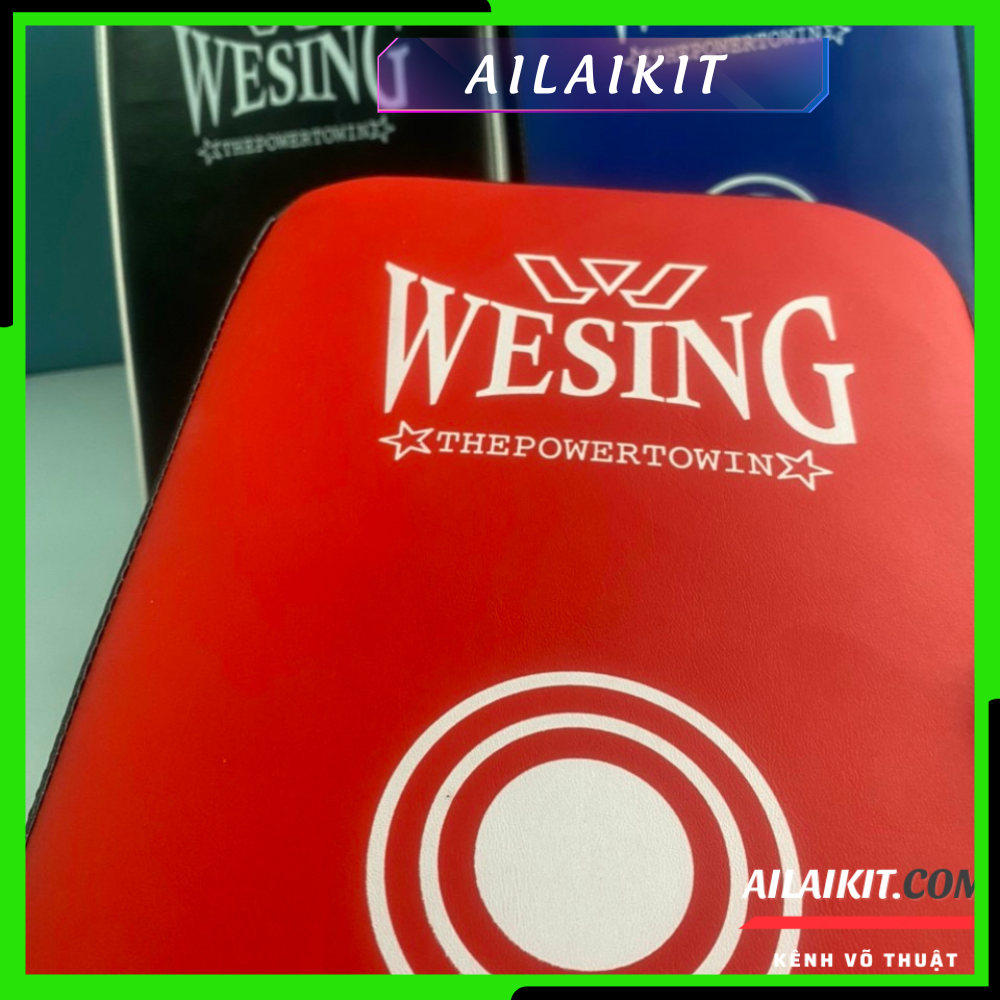 Đích đỡ tập đá 20x40 WESING Vợt đá - Ailaikit